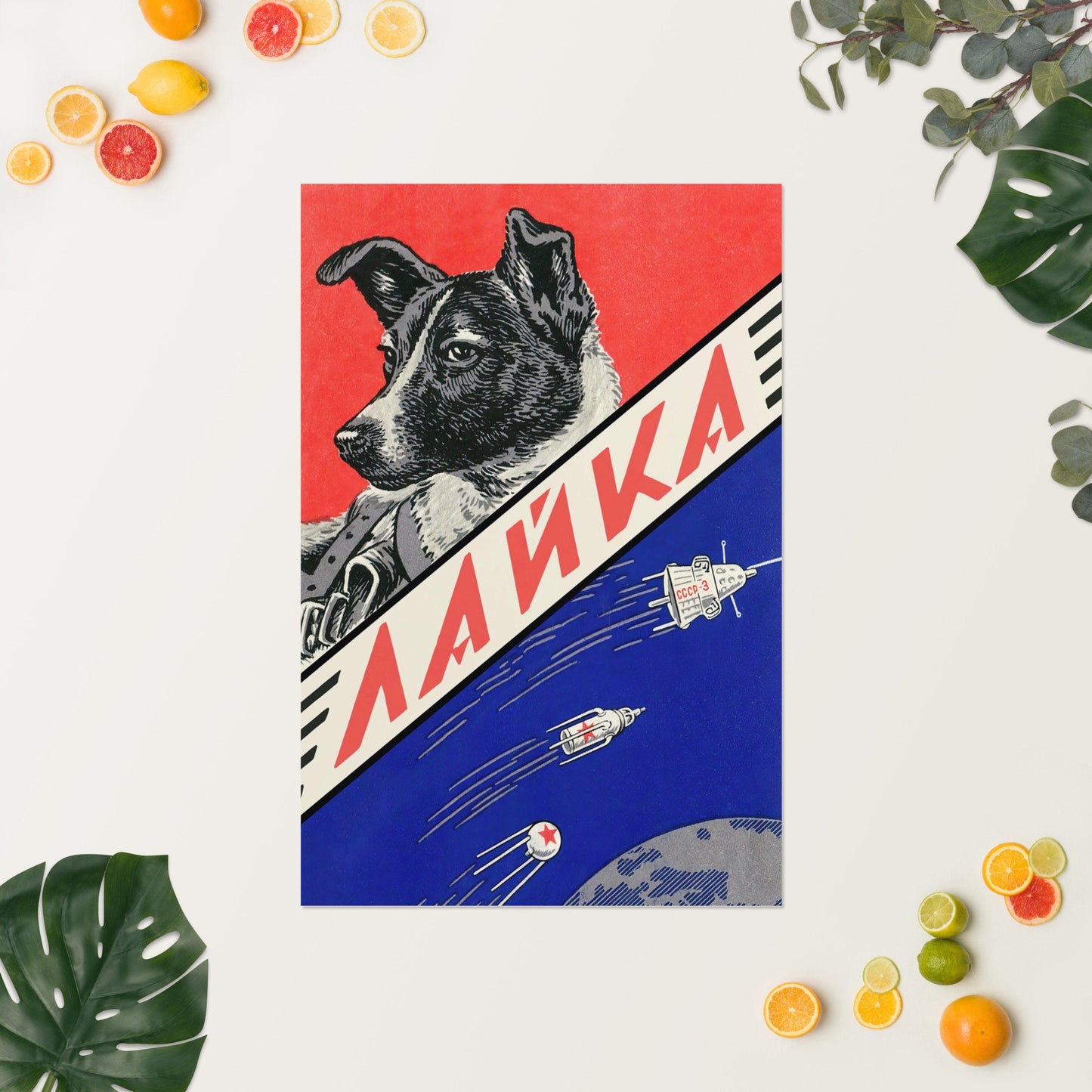 Laika Soviet Space Dog Poster